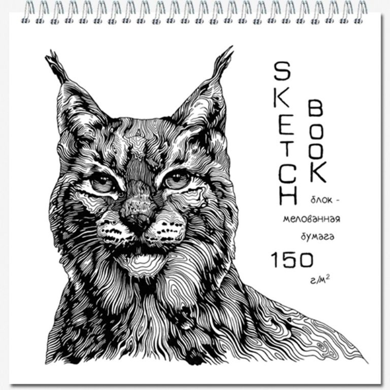 

Скетчбук 190х190мм, 40л, мелов150гр, спираль, QUADRO BIG SILK 2834асс, alb0423