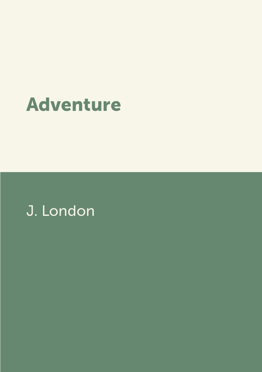 

Книга Adventure