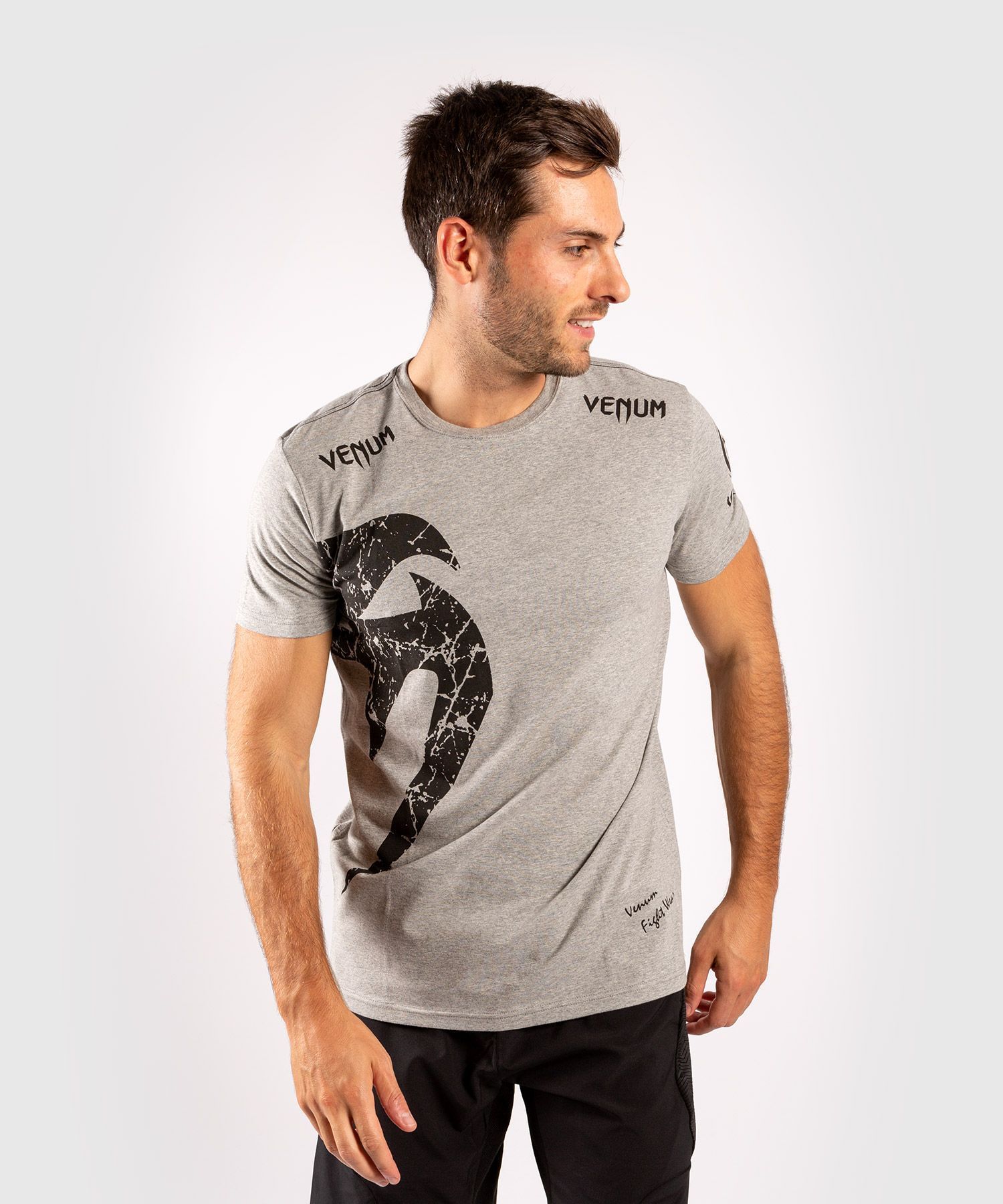 

Футболка мужская Venum EU-VENUM-1324 серая S, Серый, EU-VENUM-1324