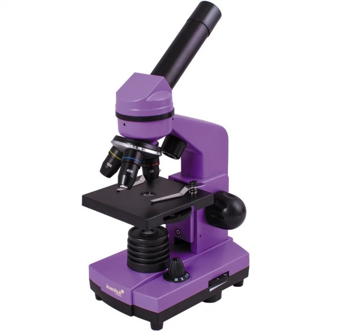 

Микроскоп Levenhuk Rainbow 2L Amethyst
