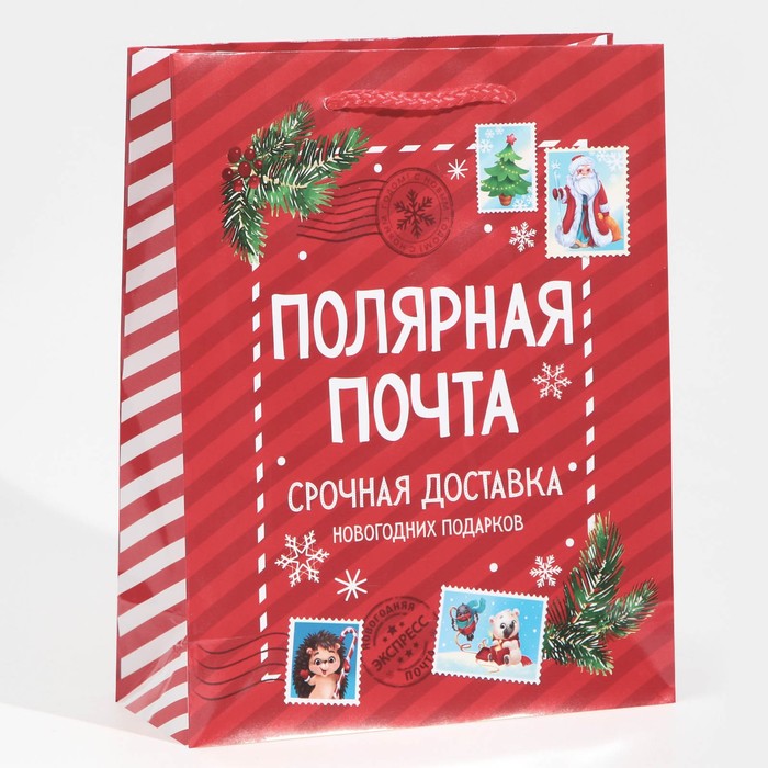 

Пакет ламинированный вертикальный Полярная почта, MS 18 × 23 × 8 см