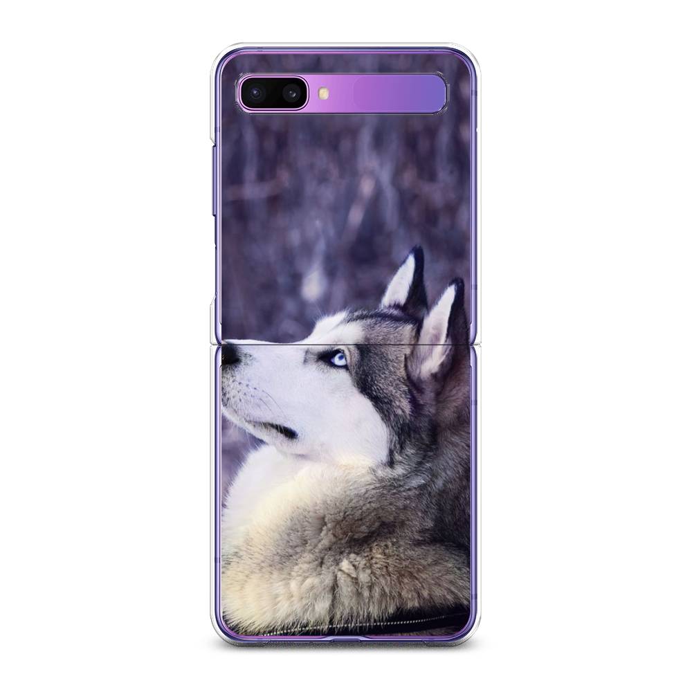 

Чехол на Samsung Galaxy Z Flip 1 "Хаски 1", Фиолетовый;белый, 2107150-1