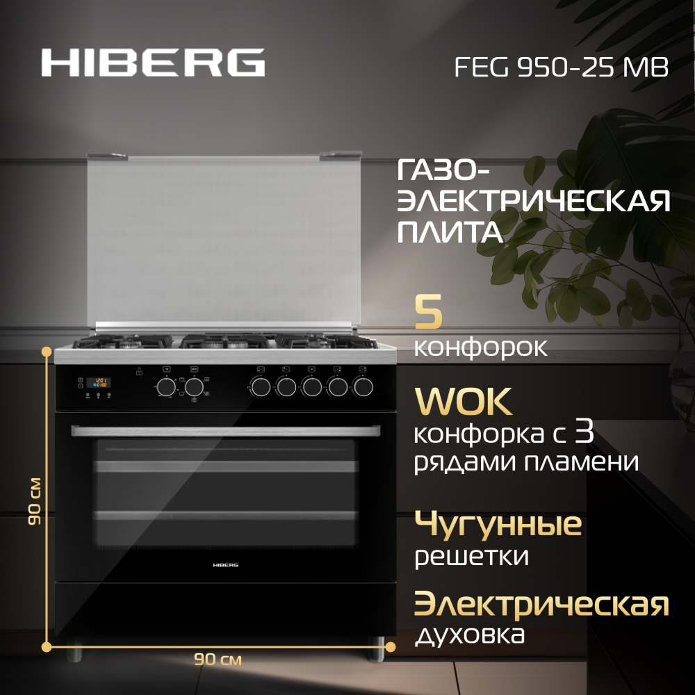 

Комбинированный варочный центр Hiberg FEG 950-25 MB черный, FEG 950-25 M