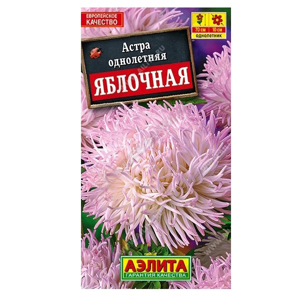

Семена Астра Коготковая Аэлита 0,2 г