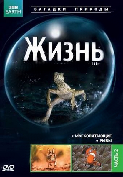 

BBC: Жизнь. Часть 2