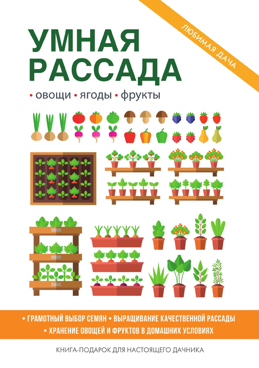 фото Книга умная рассада rugram