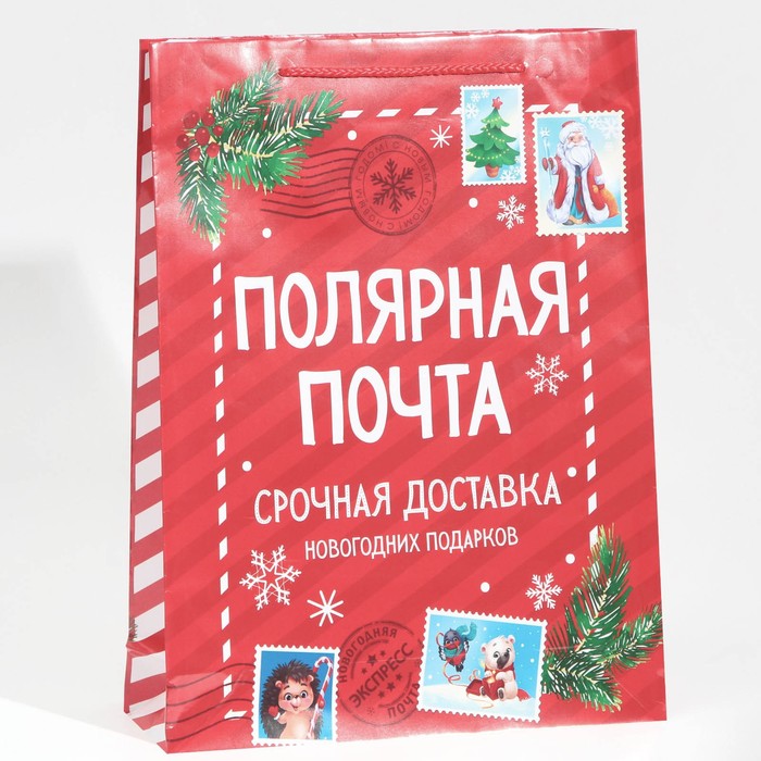 

Пакет ламинированный вертикальный Полярная почта, L 28 х 38 х 9 см, Красный