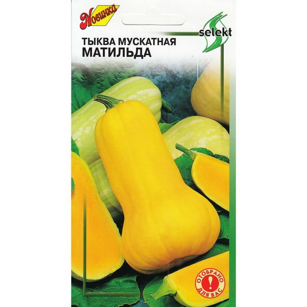 

Семена тыква Матильда select Дом семян Р00022222