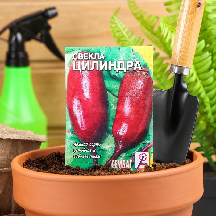 

Семена Свекла "Цилиндра", 2 г