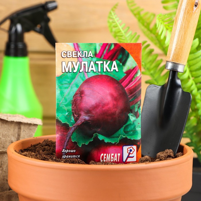 

Семена Свекла "Мулатка", 2 г
