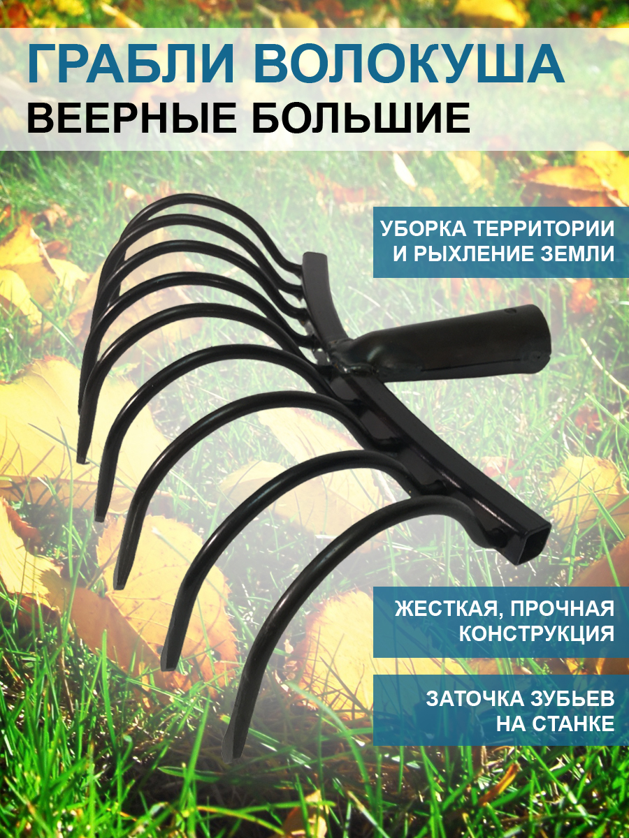 

Грабли веерные Волокуша большие 30 см без черенка