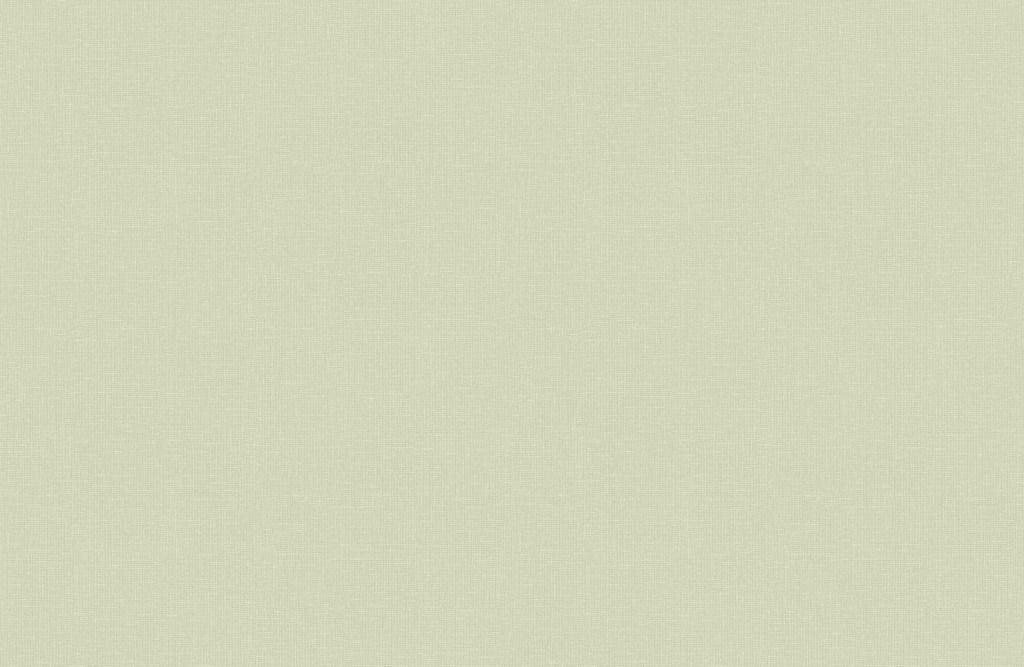 Обои Гомель Аурелия флиз гор.тисн.1,06*10м  4947(ГТФ1Э)' кпб аурелия зеленый р 2 0 сп евро