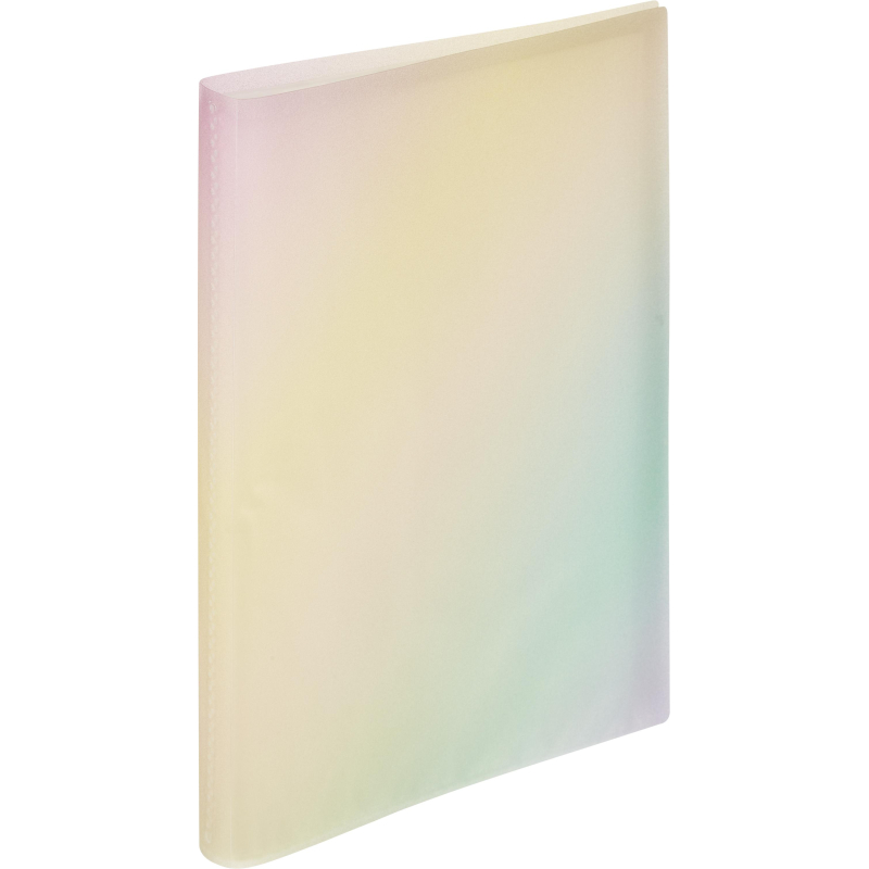 

Папка файловая на 40 файлов А4 Attache Selection Rainbow, РР, 400мкм, Разноцветный