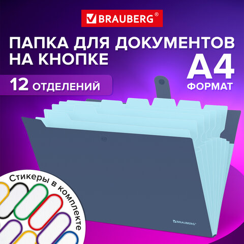 

Папка-органайзер на кнопке 12 отделений, BRAUBERG Extra, А4, синяя с голубым, Синий