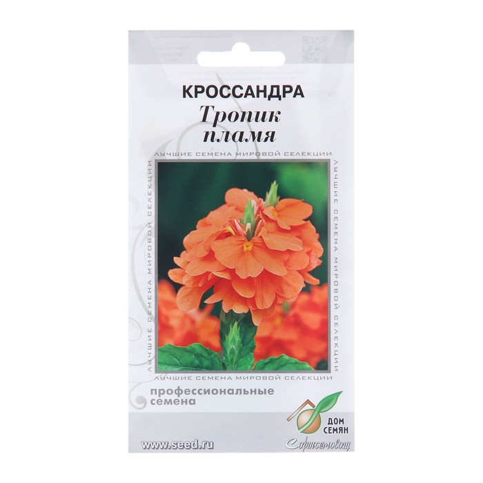 

Семена цветов кроссандра Дом семян Тропик пламя 3 шт, Кроссандра Тропик