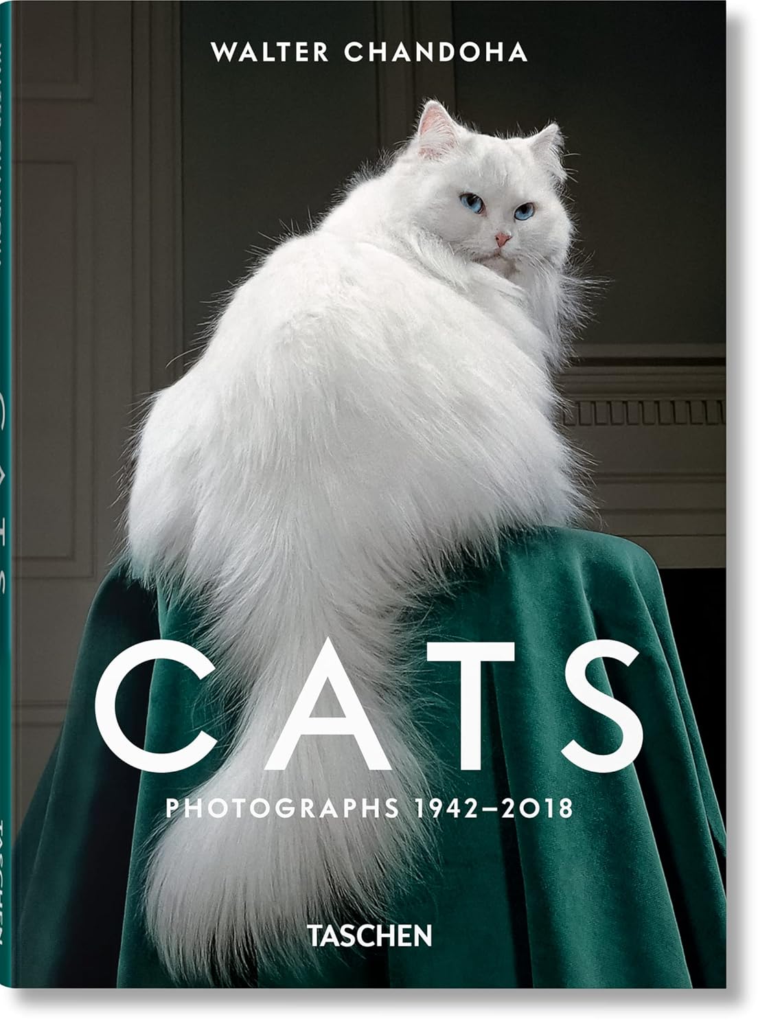 

Walter chandoha. cats mini. photographs 1942-2018. Michals, Susan