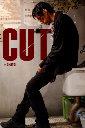 

Снято! (DVD)