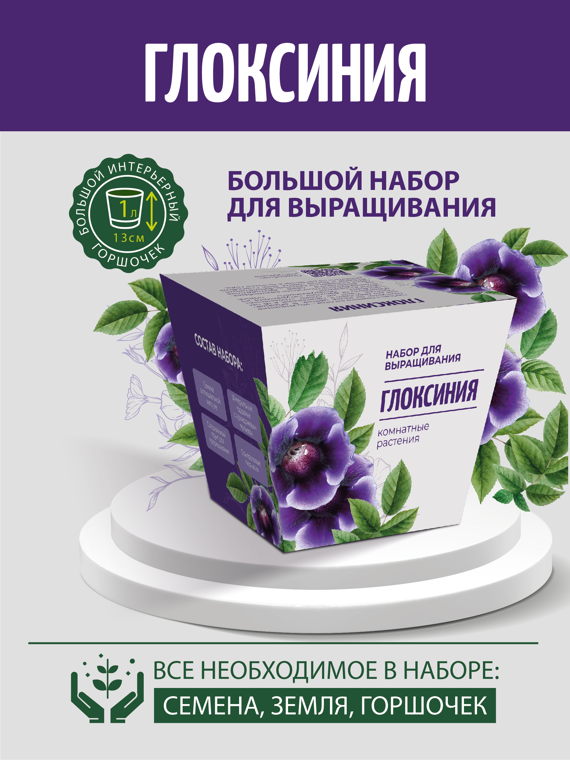 Набор для выращивания комнатных растений ЭкоКлуб Глоксиния
