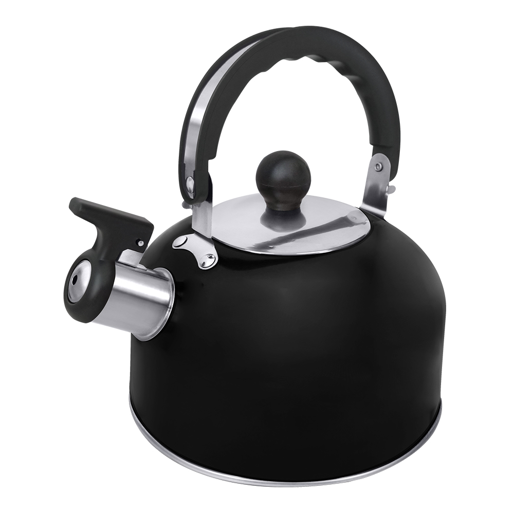 Чайник со свистком HOME ELEMENT HE-WK1603B черный матовый