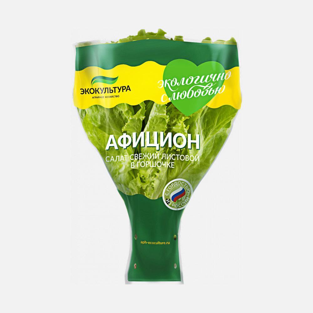 

Салат Экокультура Афицион, в горшочке, 80 г