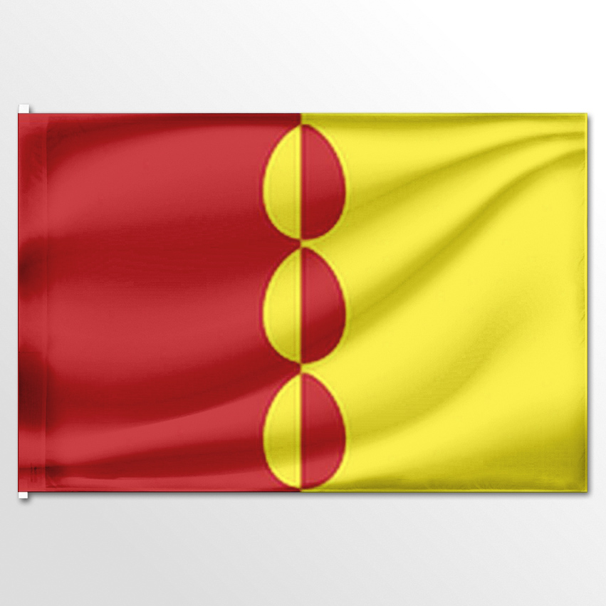 

Флаг ЦТП ФЕНИКС Платошинского сельского поселения 135x90 см, 6705-135x90