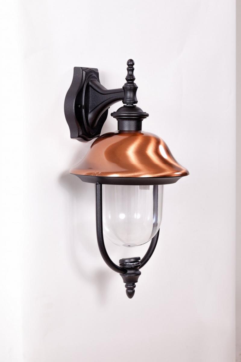 

Настенный фонарь уличный Oasis Light 84302c Bl
