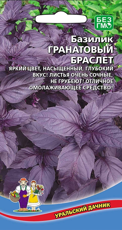 фото Базилик гранатовый браслет, 0,25 г уральский дачник