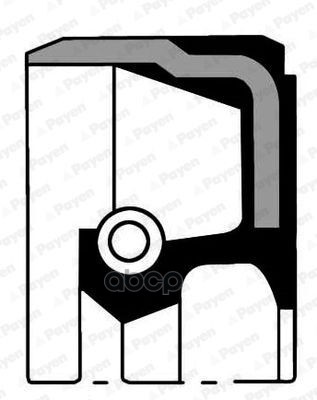 

NA5174_сальник к/в передний! 31.5x42x7 Opel Astra/Corsa/Meriva/Vectra/Zafira 1.6/1.8 02>