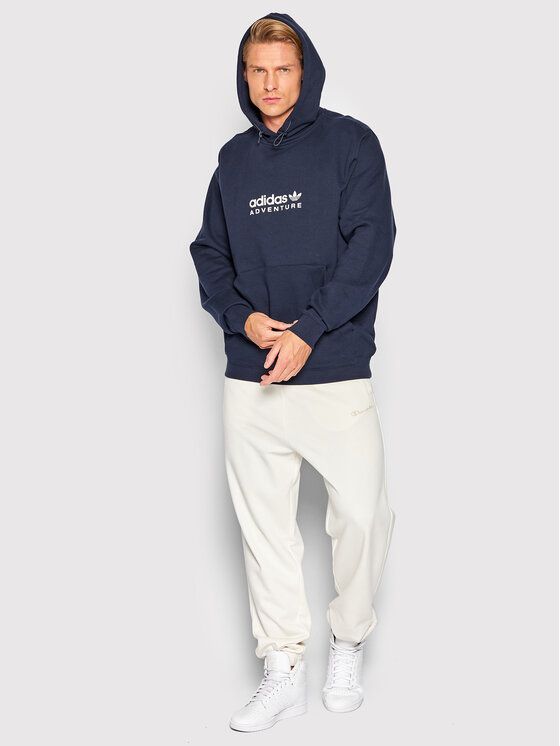 

Худи мужское Adidas 0000300003565 синее M, Синий, 0000300003565