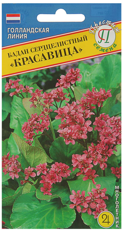 Семена бадан Престиж Сердцелистный красавица 10887 1 уп.