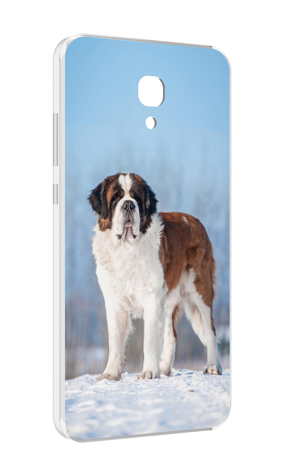 

Чехол MyPads сенбернар для Meizu M6 (M711Q), Прозрачный, Tocco