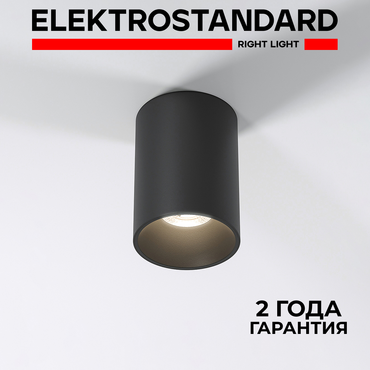 

Накладной потолочный светильник Elektrostandard Porter 25011/01 черный из металла GU10, Porter 190923