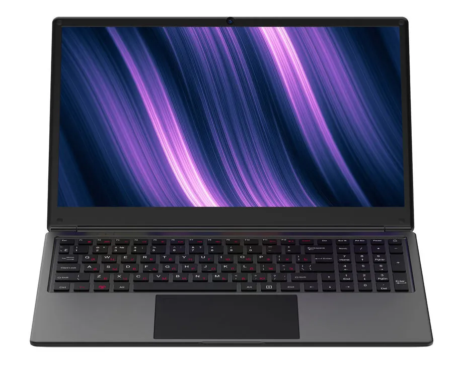 Ноутбук ASUS Expertbook L2 L2502CYA-BQ0124 Black (90NX0501-M00500)