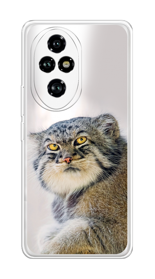 

Чехол на Honor 200 Pro "Кот манул 1", Серый;белый;желтый, 6124850-1