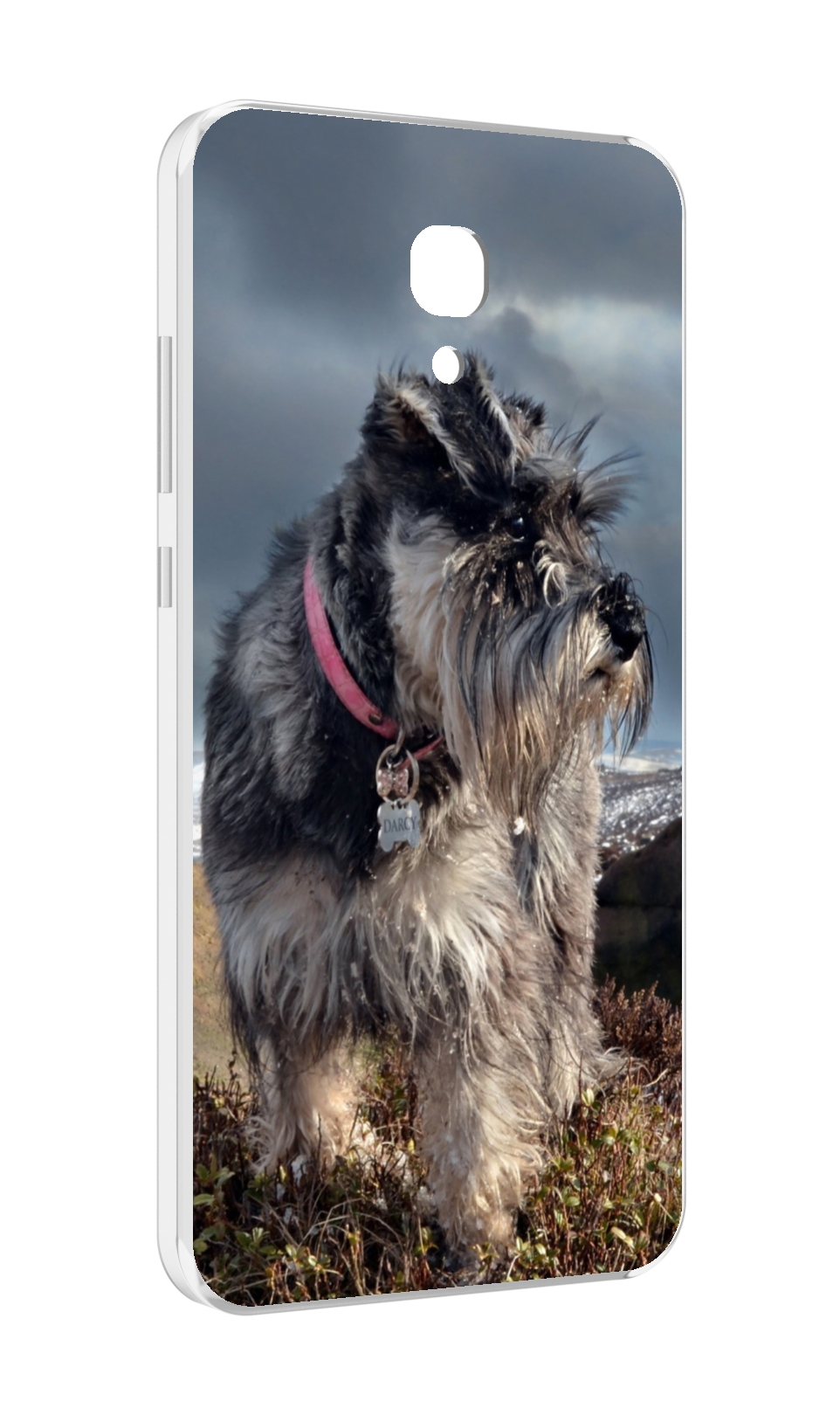 

Чехол MyPads ризеншнауцер 2 для Meizu M6 (M711Q), Прозрачный, Tocco