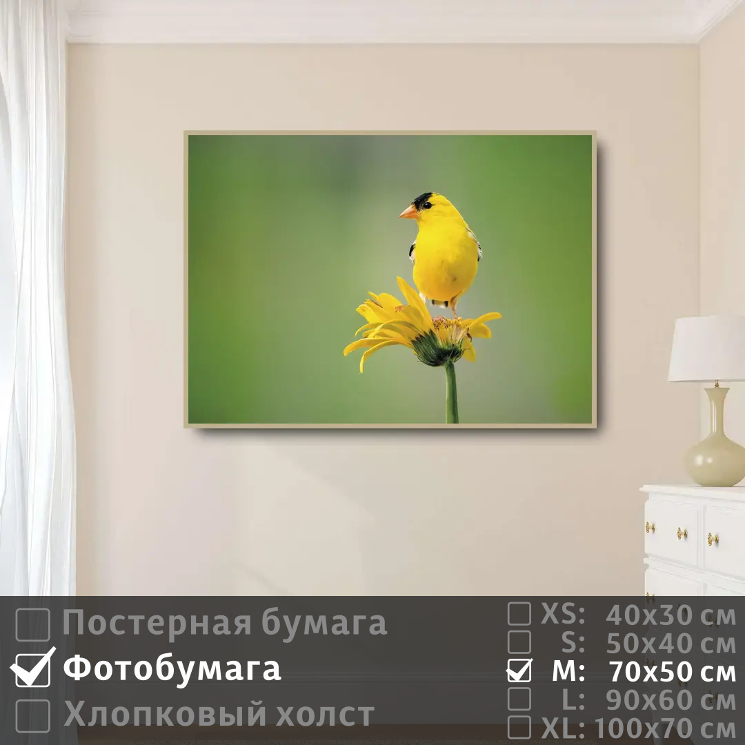 

Постер на фотобумаге ПолиЦентр Птичка желтая сидит на цветке 70х50 см, ПтичкаЖелтаяСидитНаЦветке