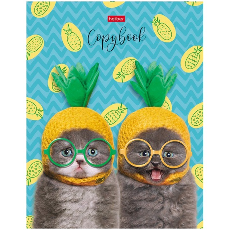 

Hatber на кольцах, А5, 160 л, "Коты-ананасики", матовая ламинация