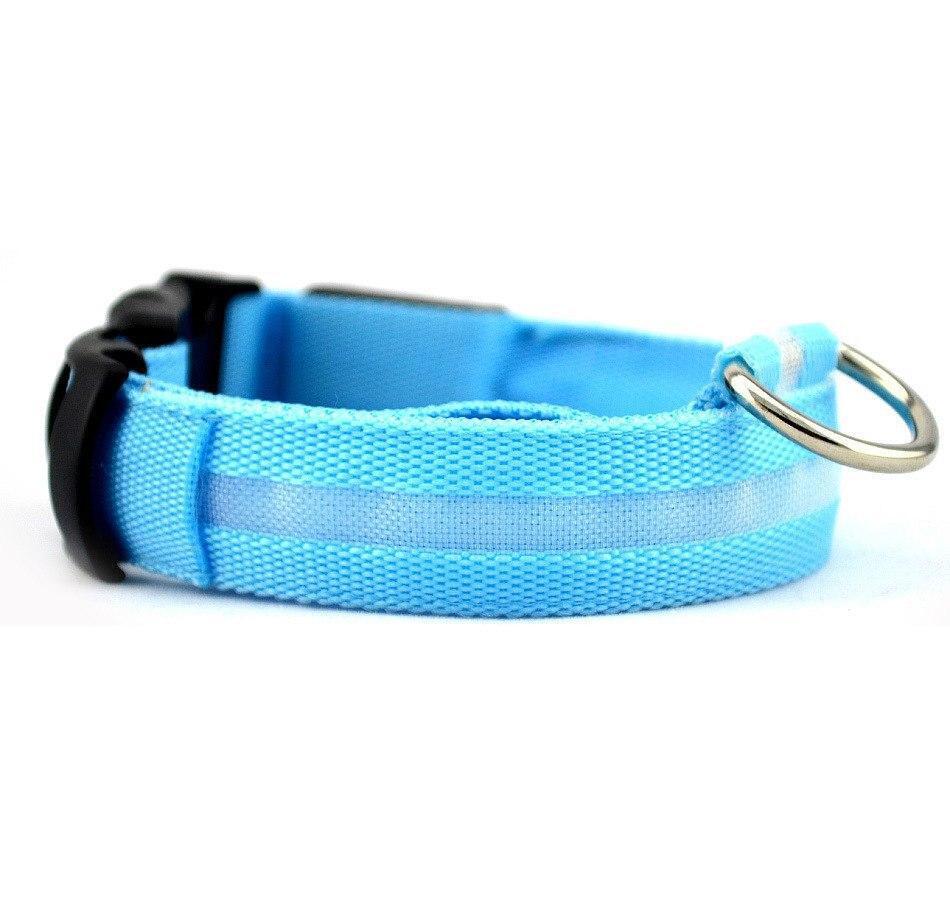 фото Ошейник для собак повседневный poco case, обхват шеи 30-38 см, текстиль, голубой