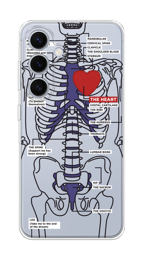 

Чехол на Samsung Galaxy S24 FE 5G "Скелет человека", Прозрачный;синий;красный, 2109950-1