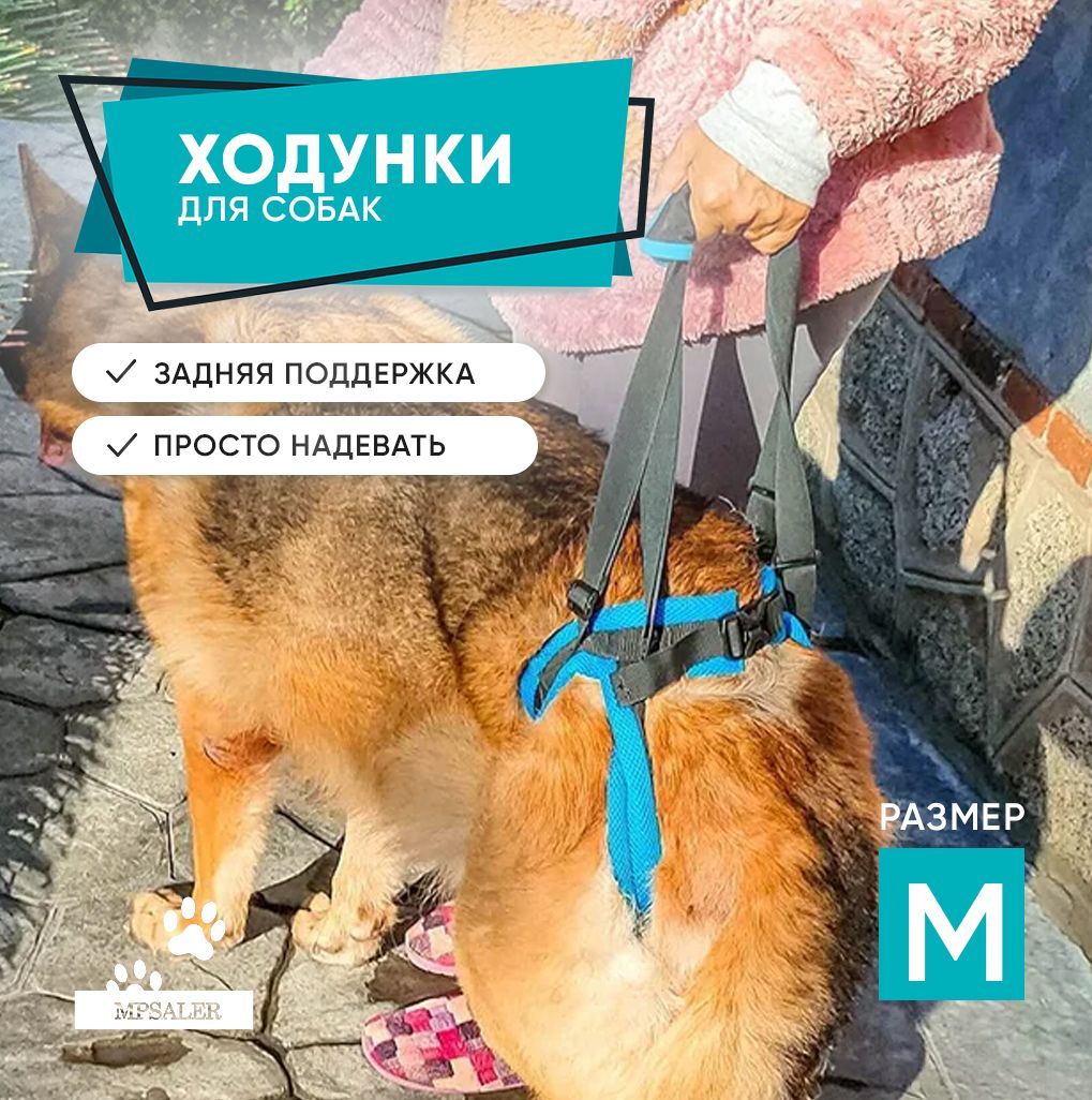 Ходунки для собак MPSALER, размер M, чёрный, нейлон