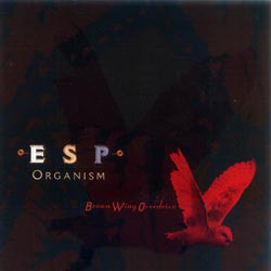 

BROWN WING OVERDRIVE - Esp Organism