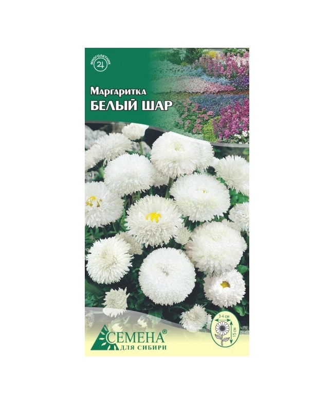 

Семена маргаритка Семена для Сибири Белый шар 1 уп.