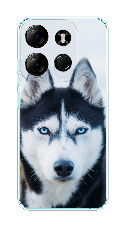 

Чехол на Tecno Spark Go 2023/Infinix Smart 7 "Хаски 2", Синий;белый, 303150-1