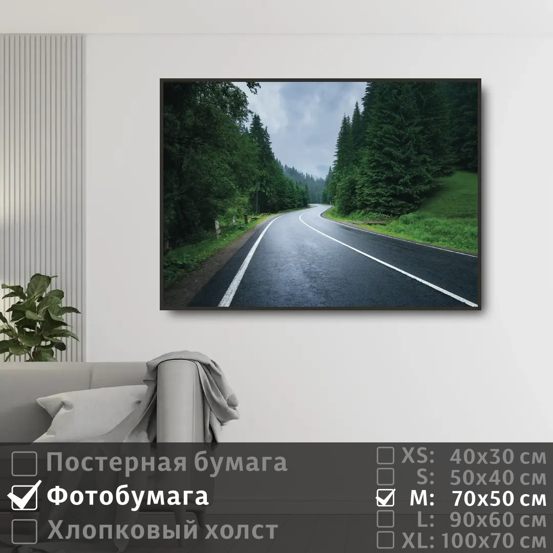 

Постер на фотобумаге ПолиЦентр Дорога лес в тумане 70х50 см, ДорогаЛесВТумане