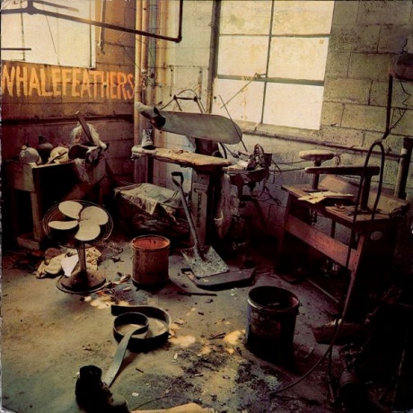 WHALEFEATHERS - Whalefeathers