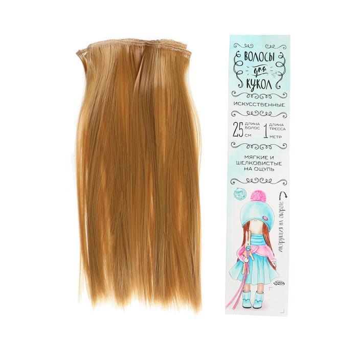 

Волосы - тресс для кукол Прямые длина волос 25 см, ширина 100 см, цвет № 27 Р00000016, Русые