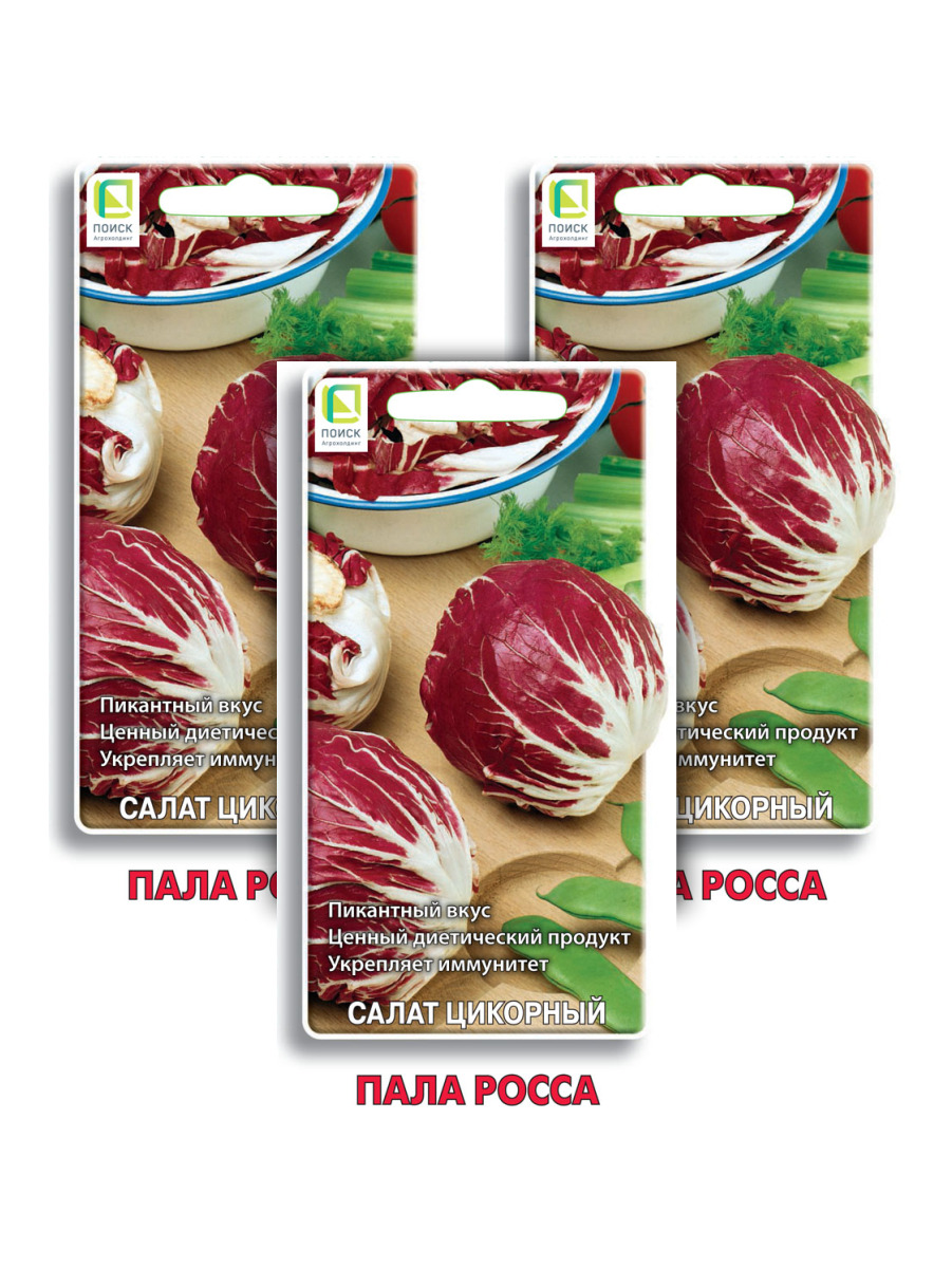 Салат цикорный отзывы. Салат цикорный пала Росса. Салат цикорный пала Росса отзывы. Цикорный салат пала Росса выращивание. Пала Росса цикорный салат фото.