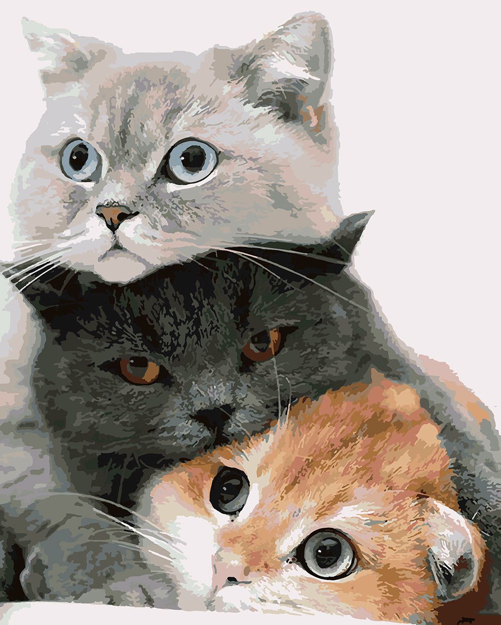 фото Картина по номерам красиво красим пушистые котята, 70 х 90 см