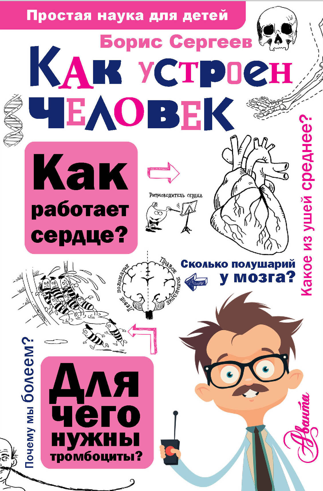 

Как устроен человек