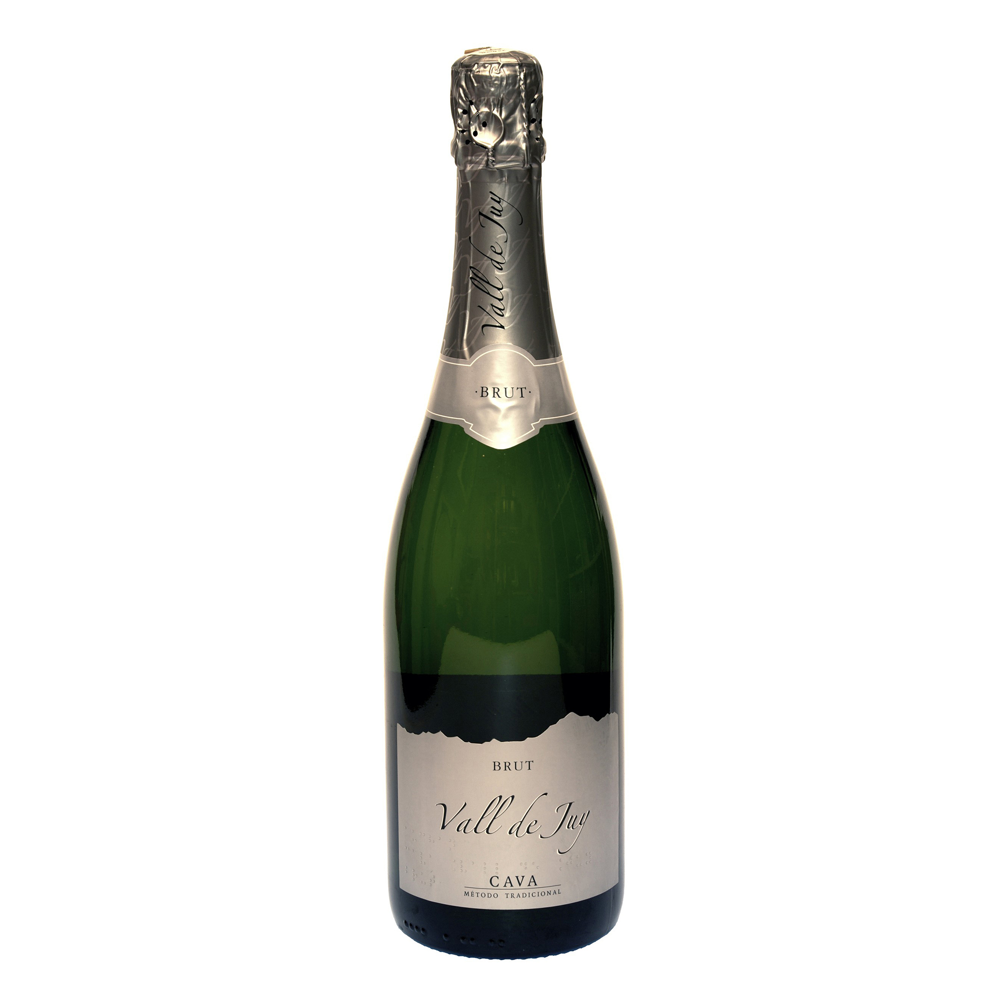 

Вино игристое Vall de Juy белое брют 11,5% 0,75 л Испания